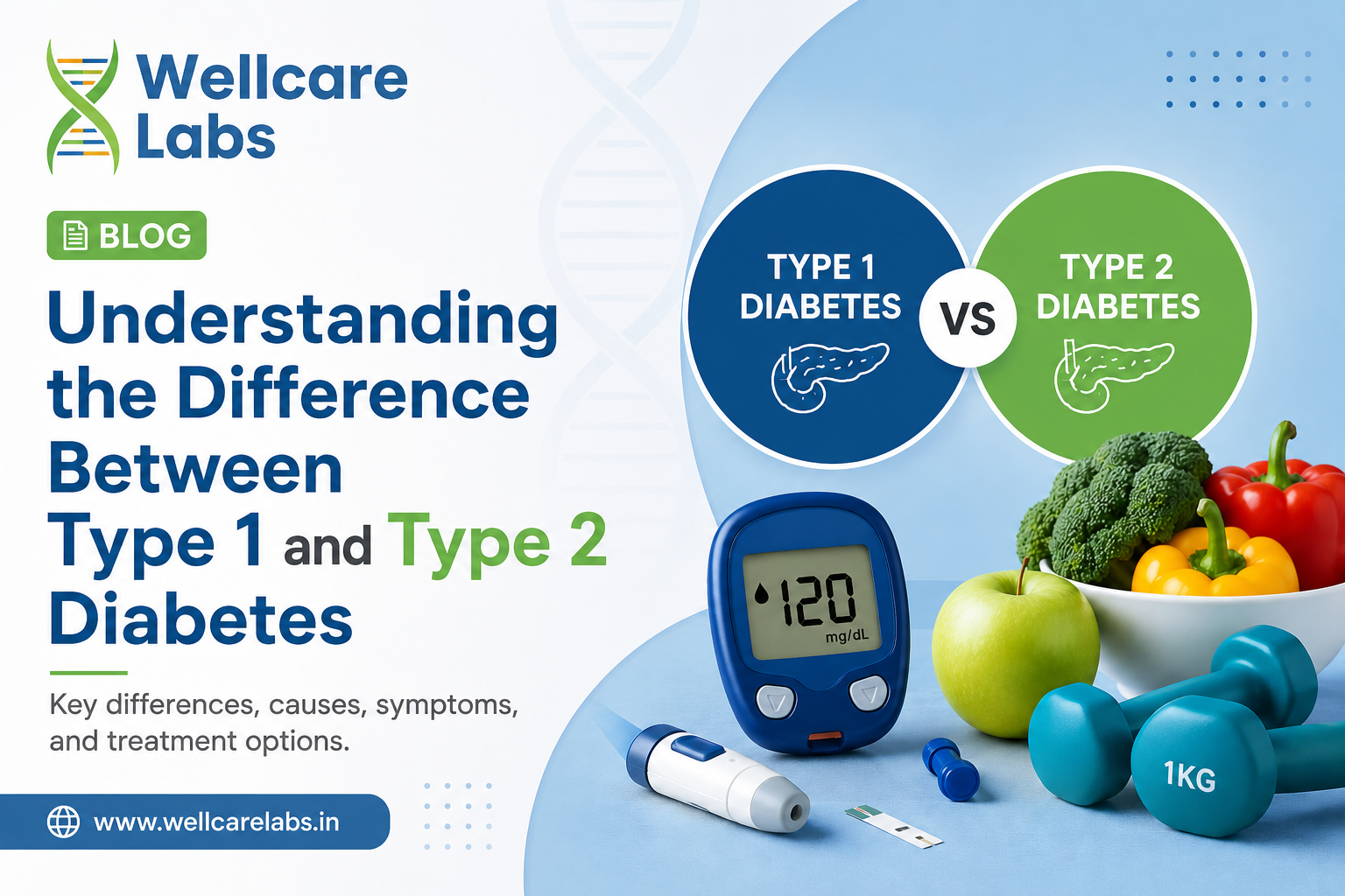 Understanding the Difference Between Type 1 and Type 2 Diabetes