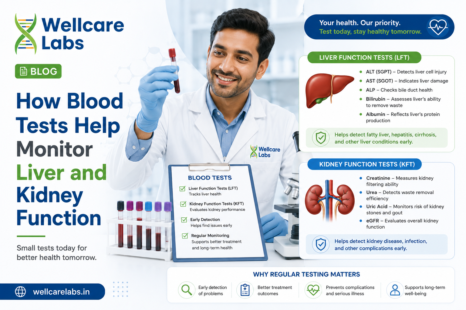 How Blood Tests Help Monitor Liver and Kidney Function