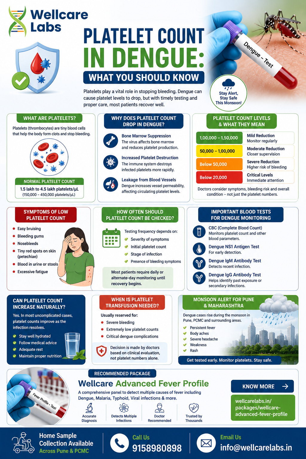 Platelet Count in Dengue: Normal Range, Warning Signs & Blood Tests